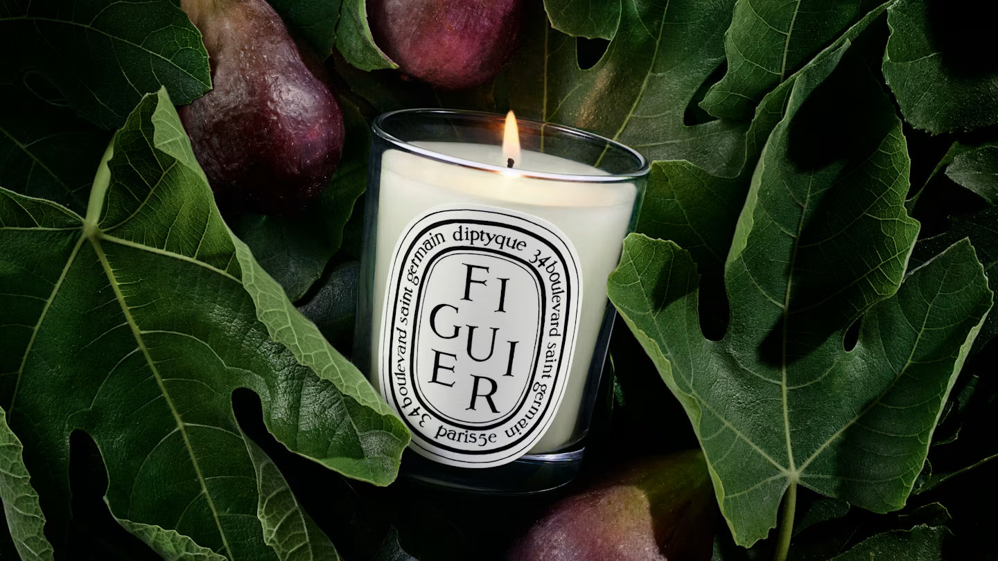 Figuier (Fig Tree)