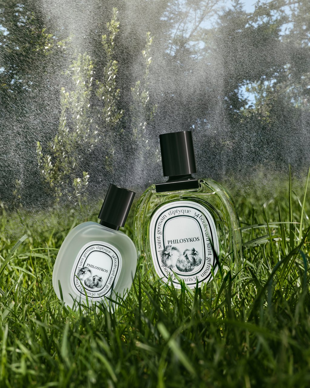 Philosykos - Hair mist – Diptyque
