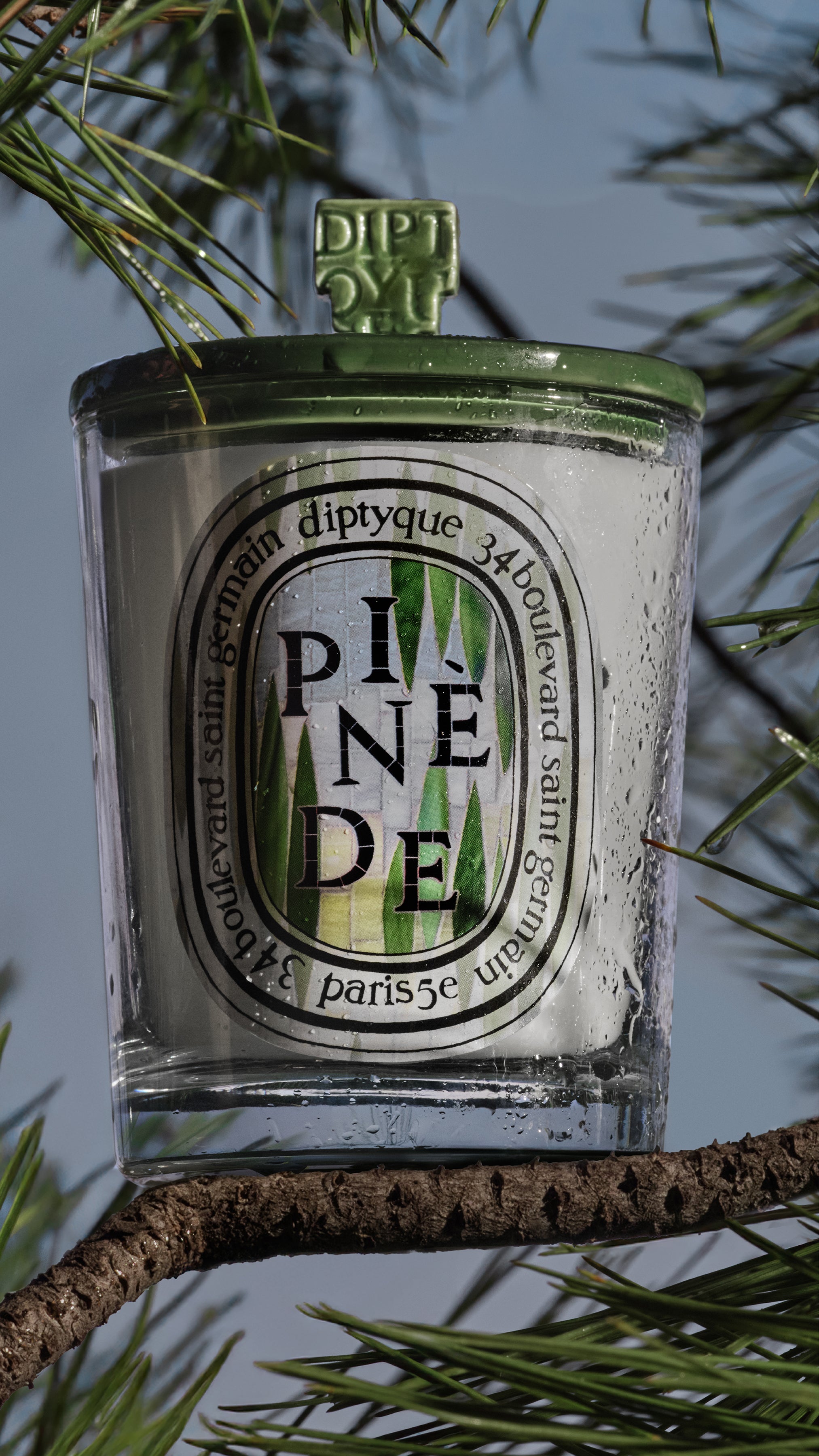 Pine Grove Green Pyramid Lid - For classic candles – Diptyque