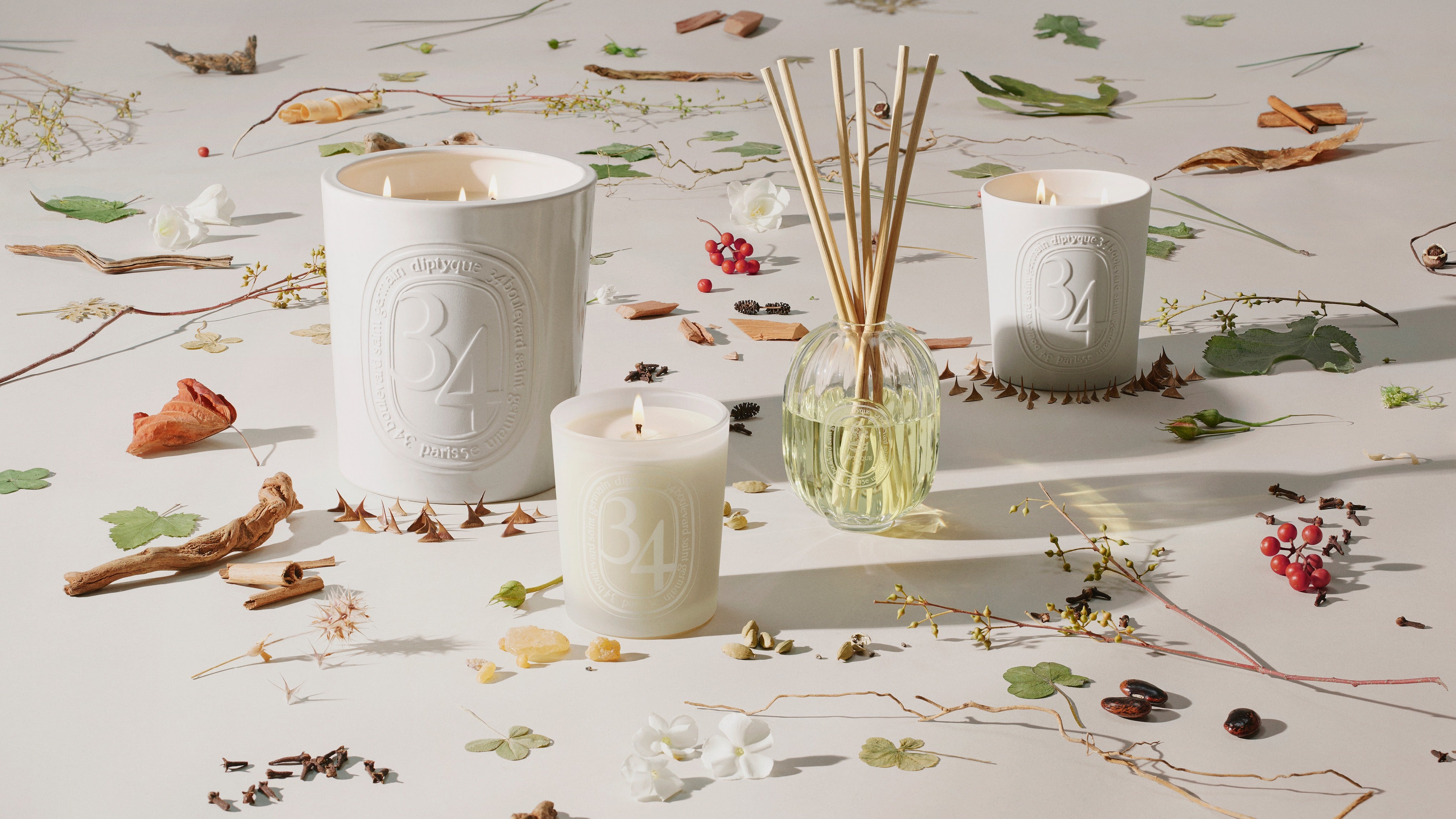 Ortie (Nettle) - Classic Candle – Diptyque