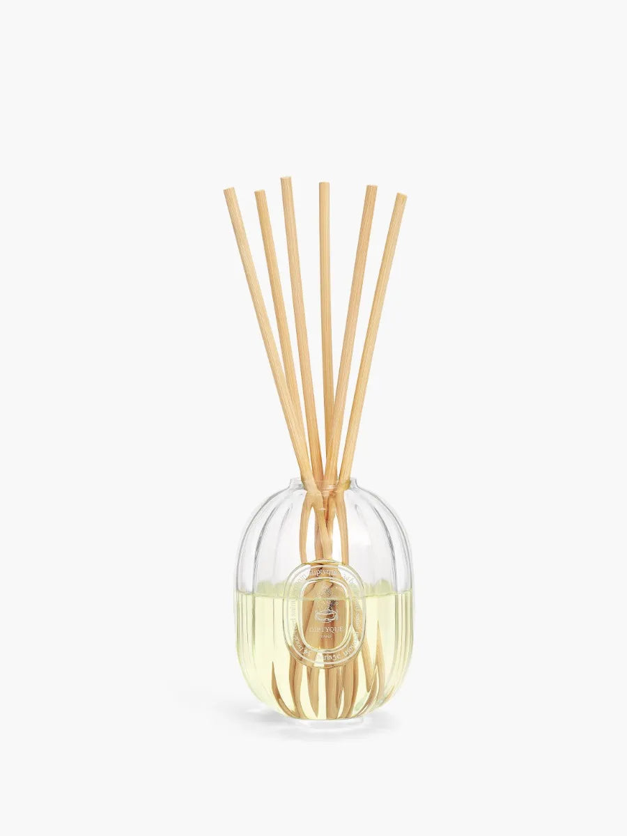Ambre (Amber) - Refill for home fragrance diffuser