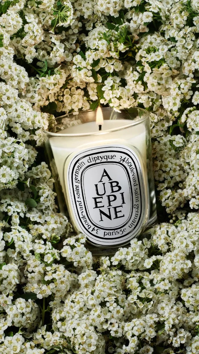 Aubépine (Hawthorn) - Classic Candle