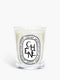 Chêne (Oak Tree) - Classic Candle