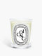 Coing (Quince) - Classic Candle