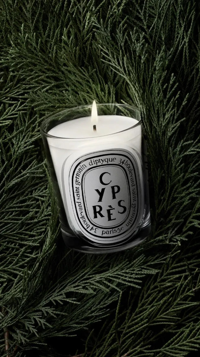 Cyprès (Cypress) - Classic Candle