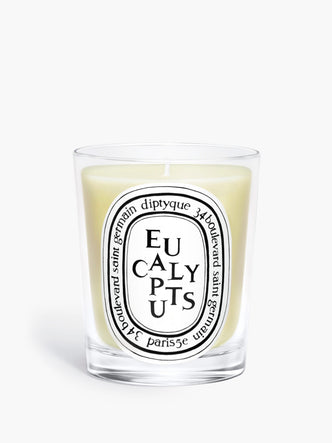 Eucalyptus - Classic Candle