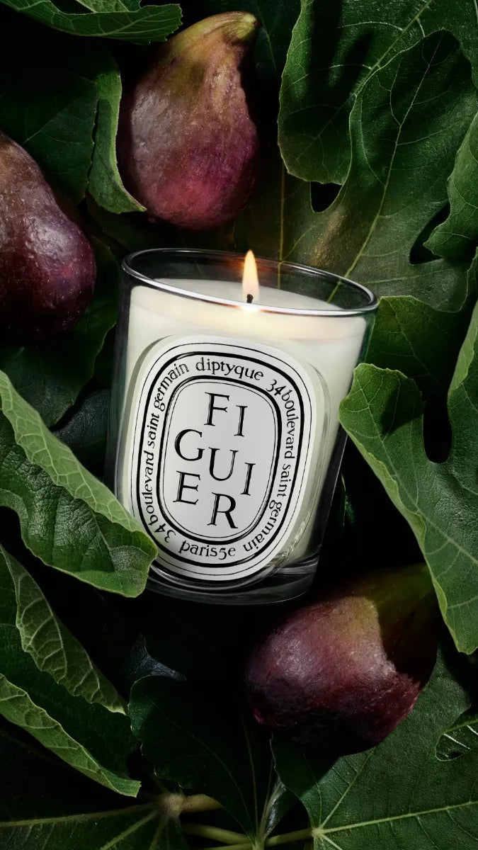 Figuier (Fig Tree) - Classic Candle