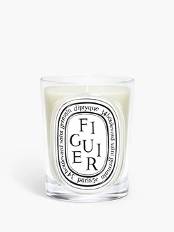 Figuier (Fig Tree) - Classic Candle