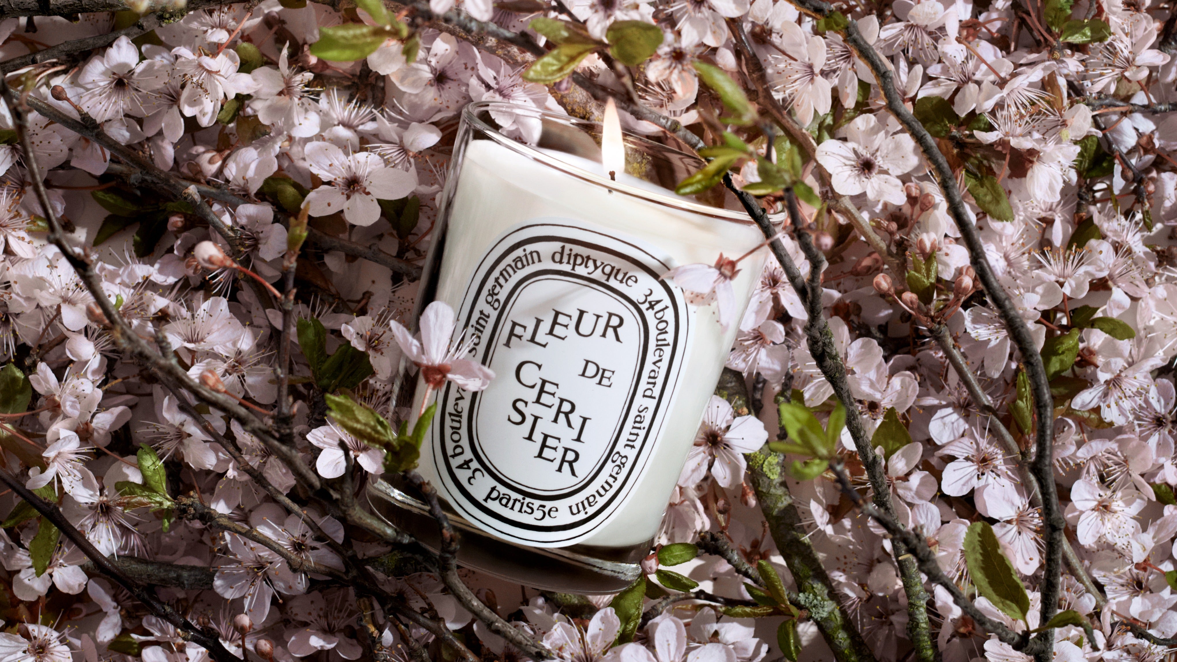 Fleur de Cerisier (Cherry Blossom) - Classic Candle – Diptyque