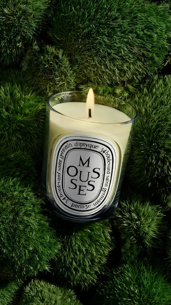 Mousses (Moss) - Classic Candle