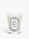 Noisetier (Hazel Tree) - Classic Candle