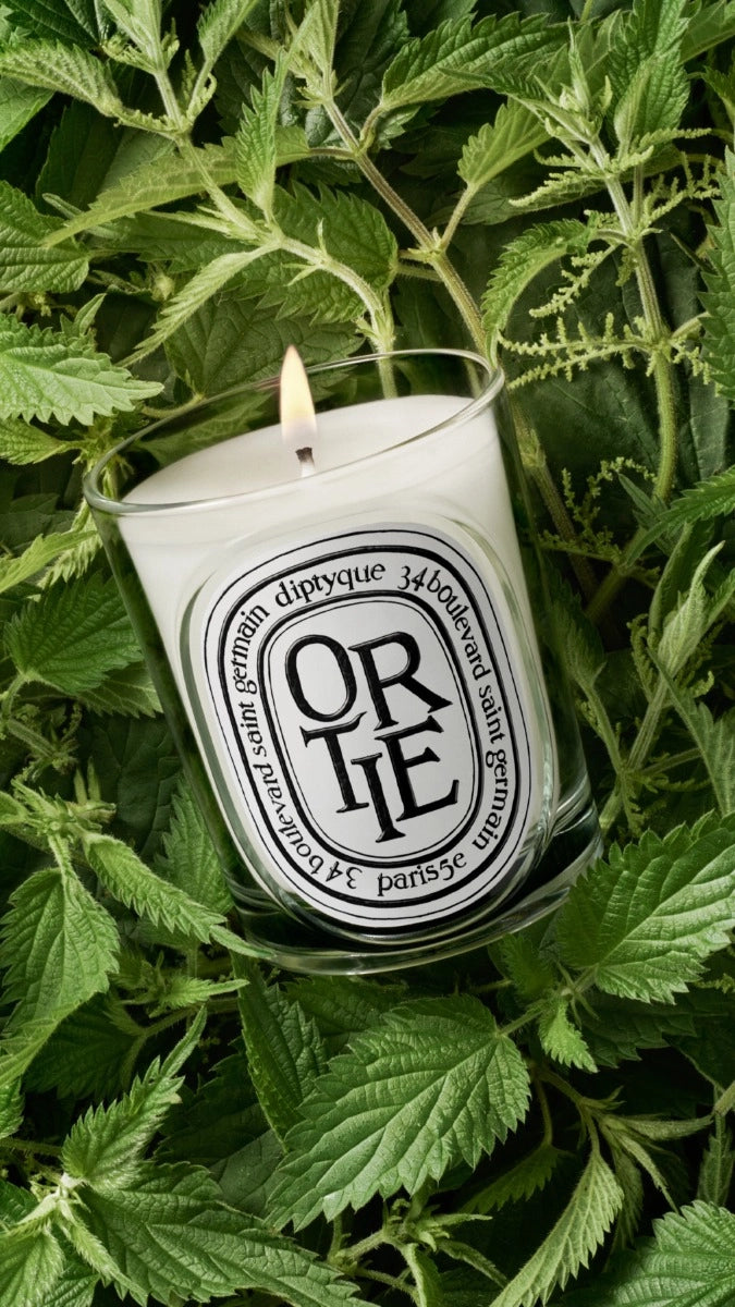 Ortie (Nettle) - Classic Candle – Diptyque