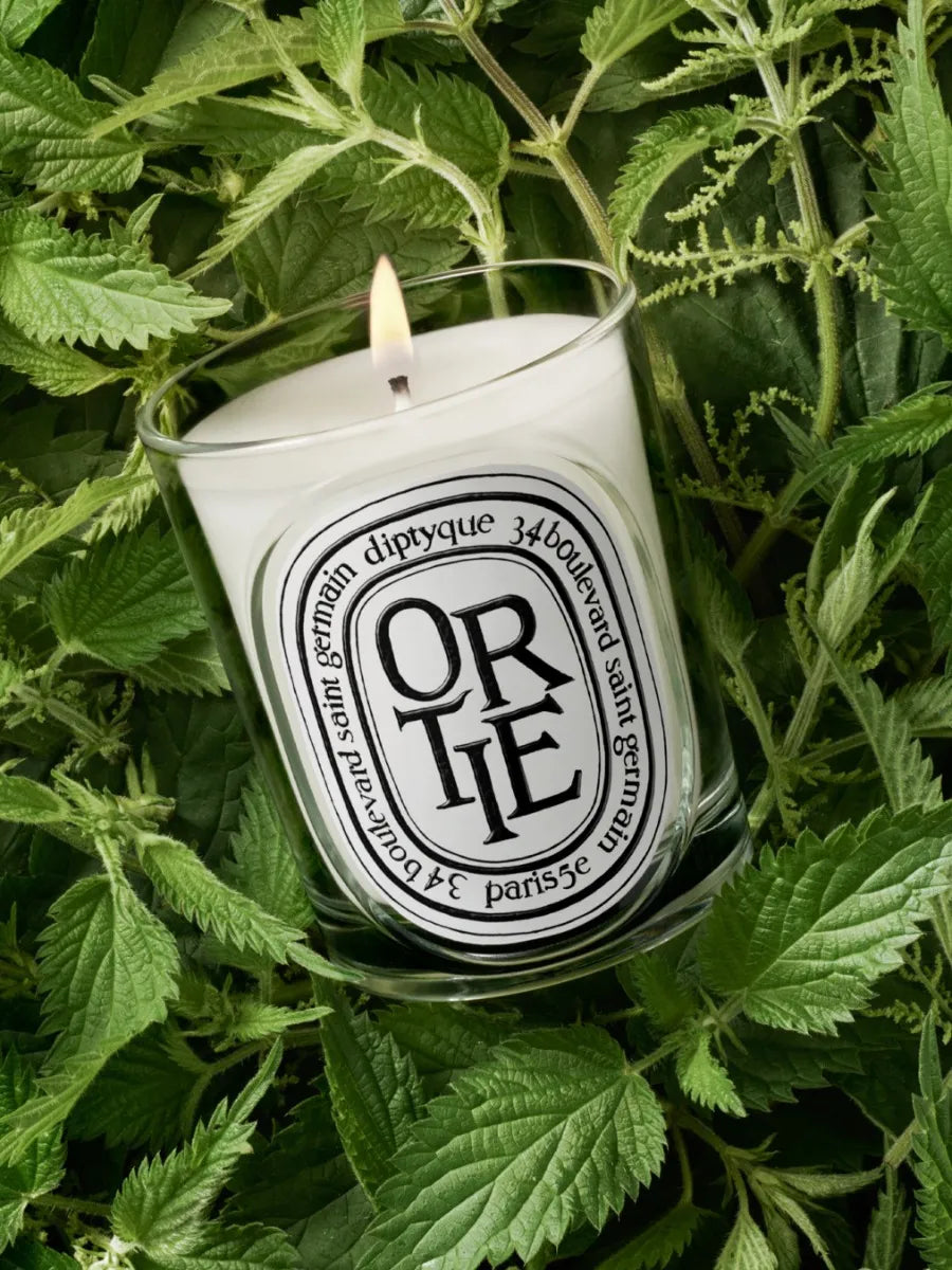 Ortie (Nettle) - Classic Candle