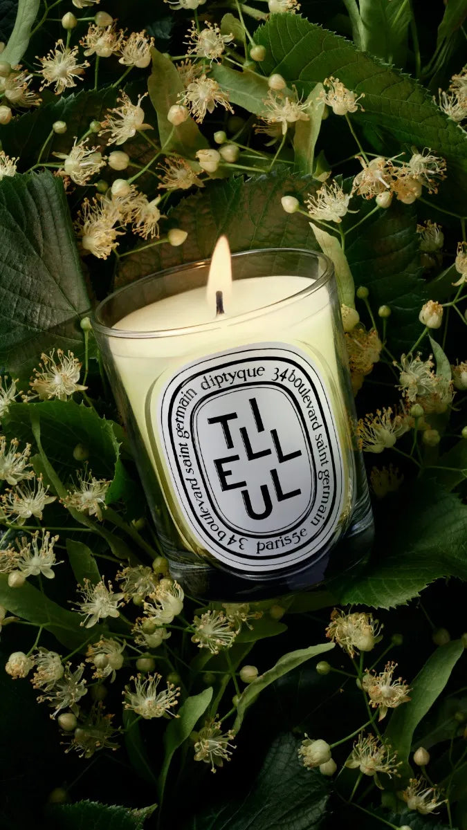 Tilleul (Linden Tree) - Classic Candle