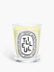 Tilleul (Linden Tree) - Classic Candle