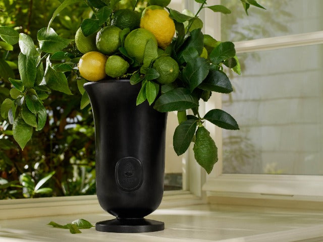 Benjoin Bohème - Eau de parfum – Diptyque