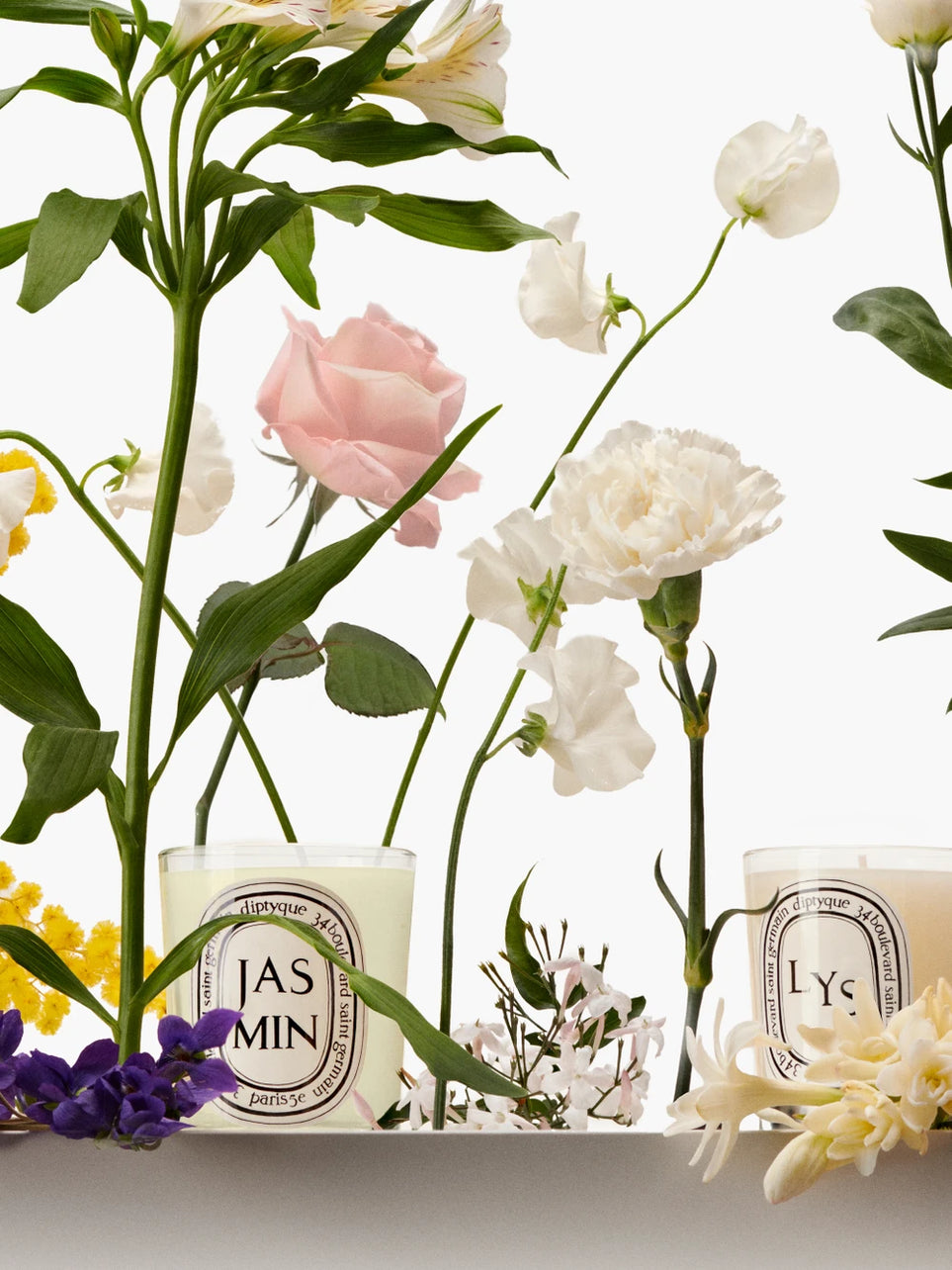 Jasmin (Jasmine) - Classic Candle