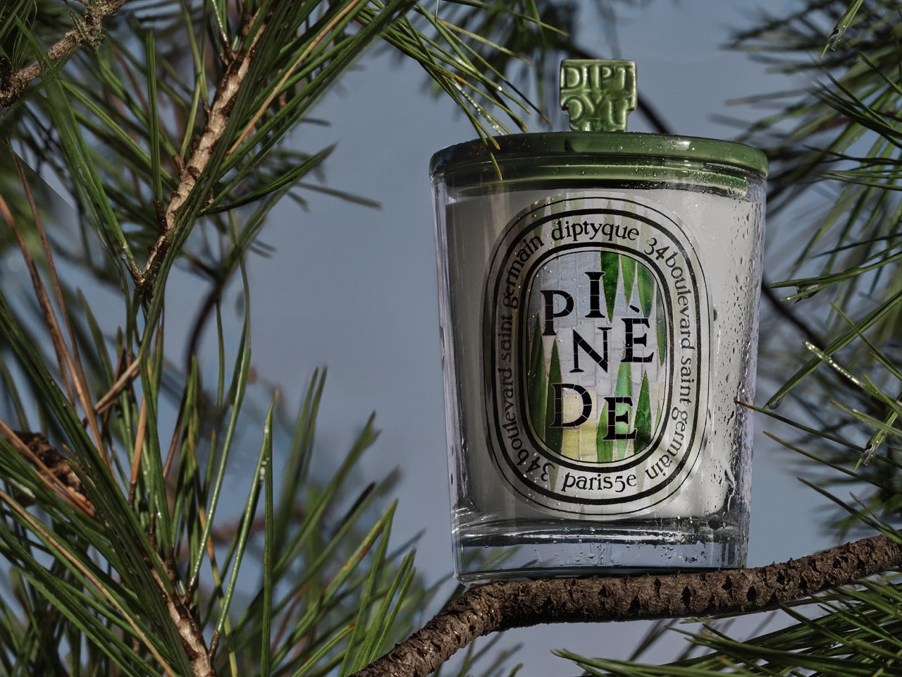 Violette (Violet) Lid - For classic candles – Diptyque