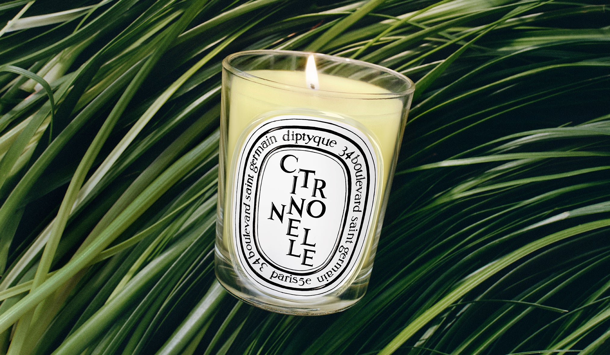 Ortie (Nettle) - Classic Candle – Diptyque