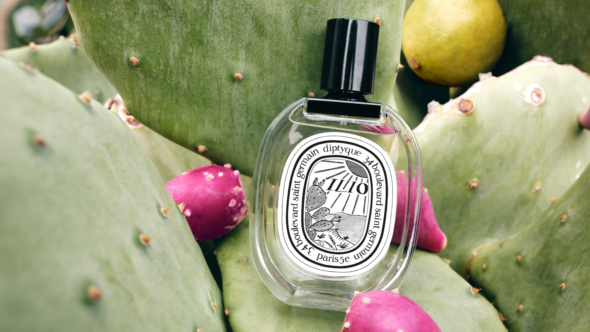 Rose Roche - Eau de parfum – Diptyque