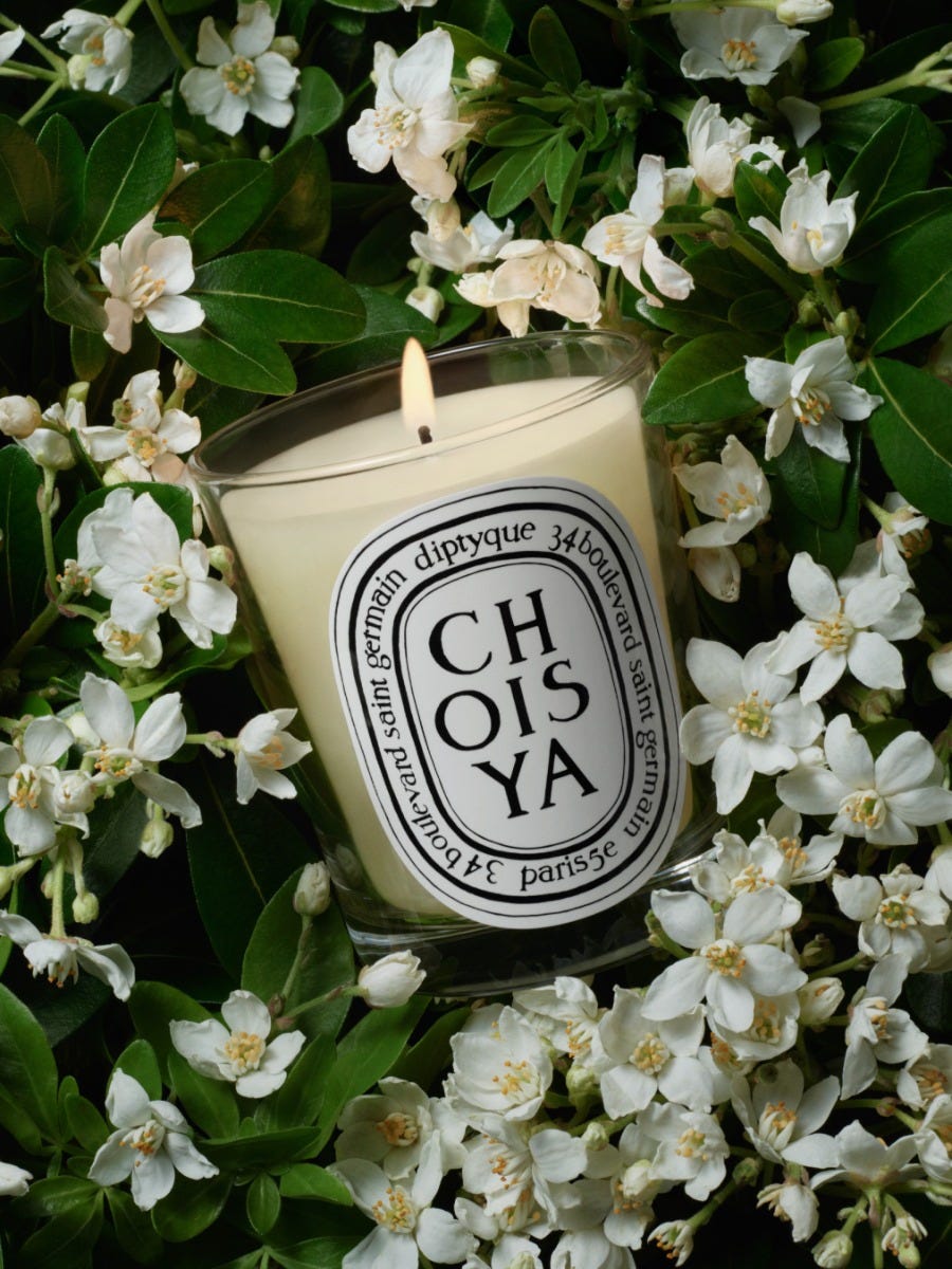 Choisya (Orange Blossom) - Classic Candle