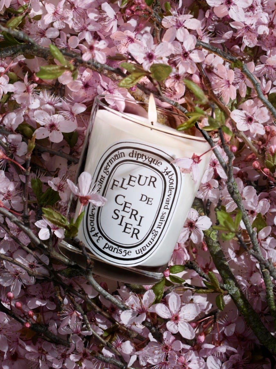 Fleur de Cerisier (Cherry Blossom) - Classic Candle