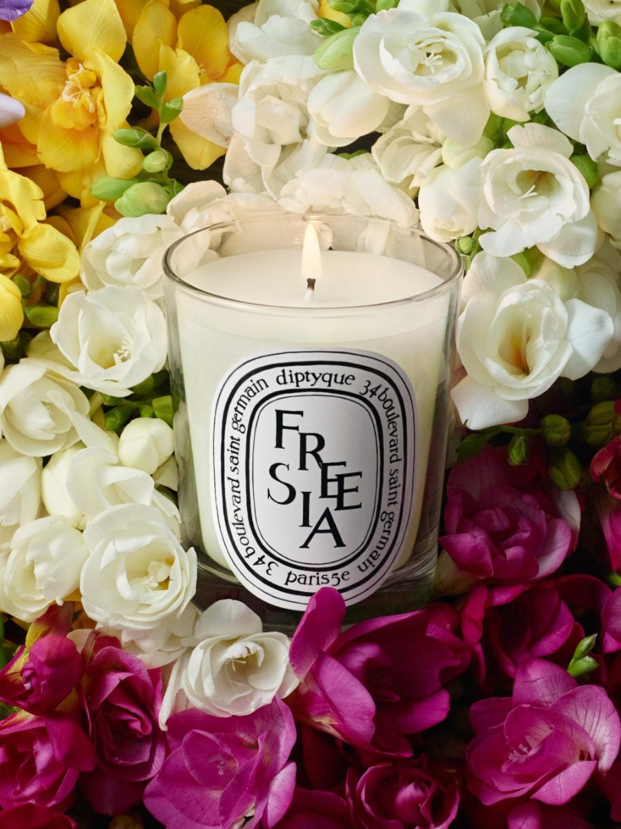 Cherry Blossom Lid - For classic candles – Diptyque